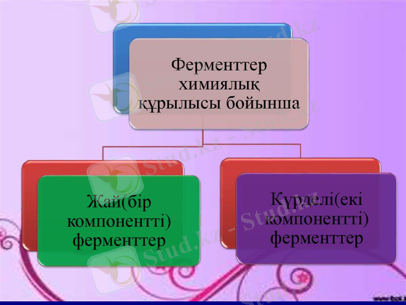 Slide 8