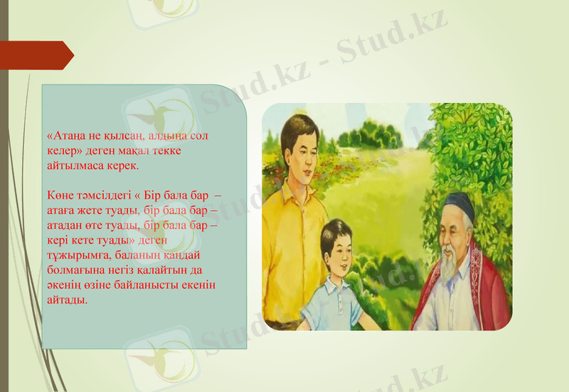 Slide 5