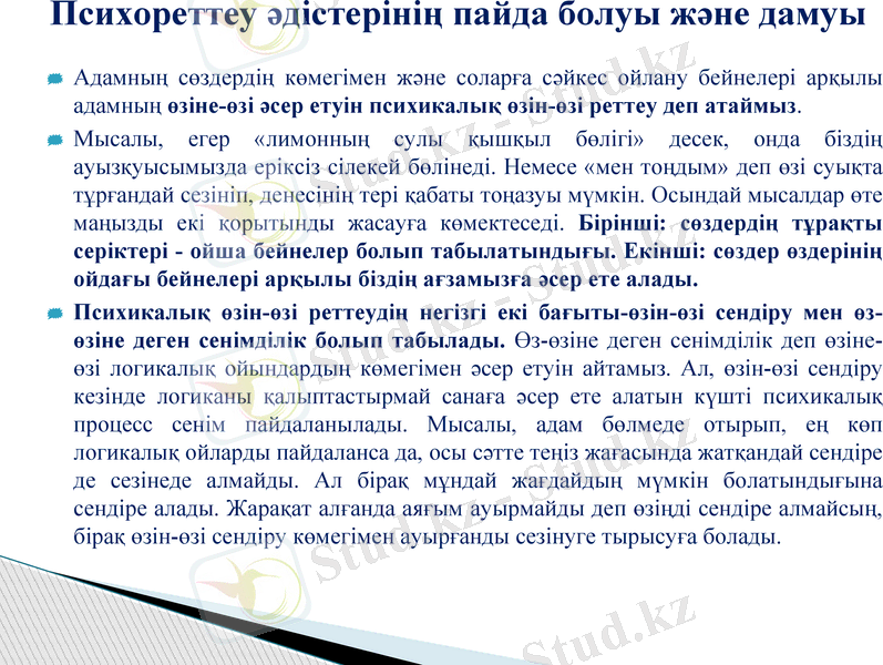 Slide 11