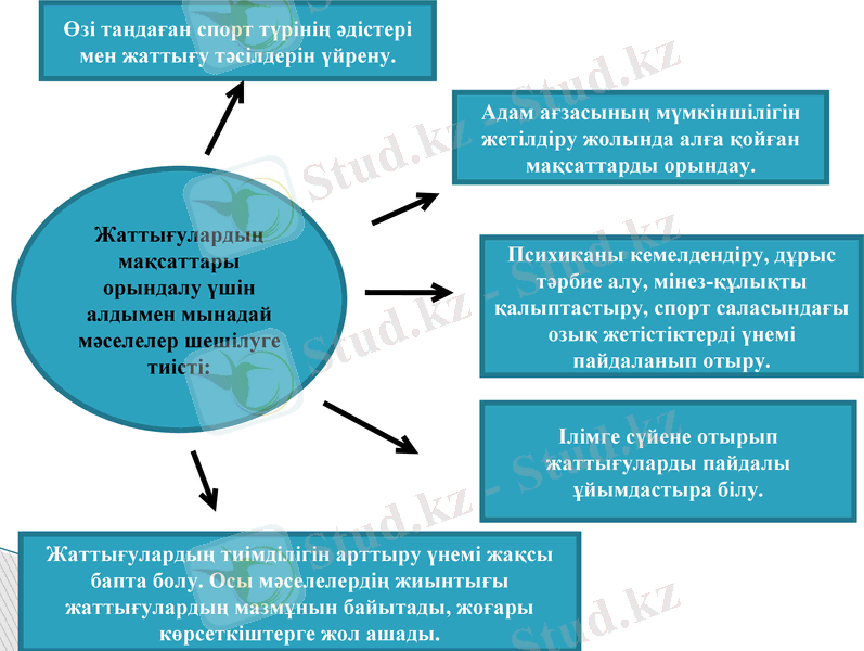 Slide 7