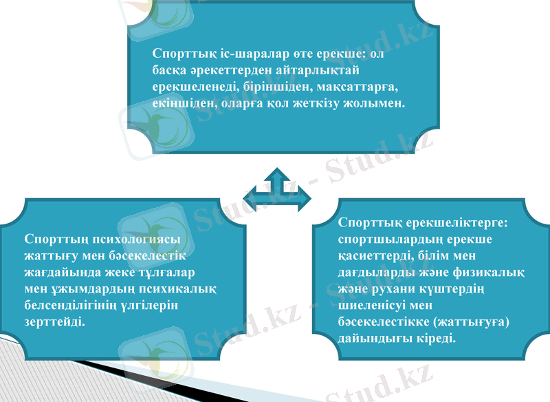 Slide 9