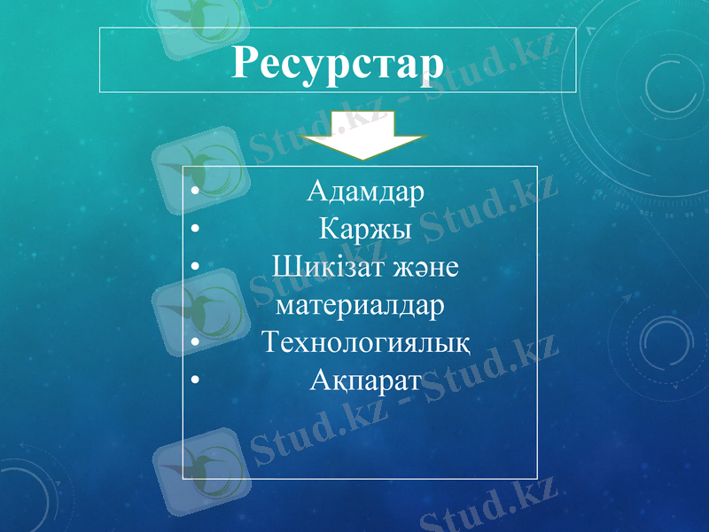 Slide 11