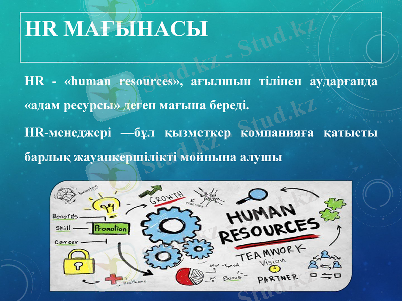 Slide 17