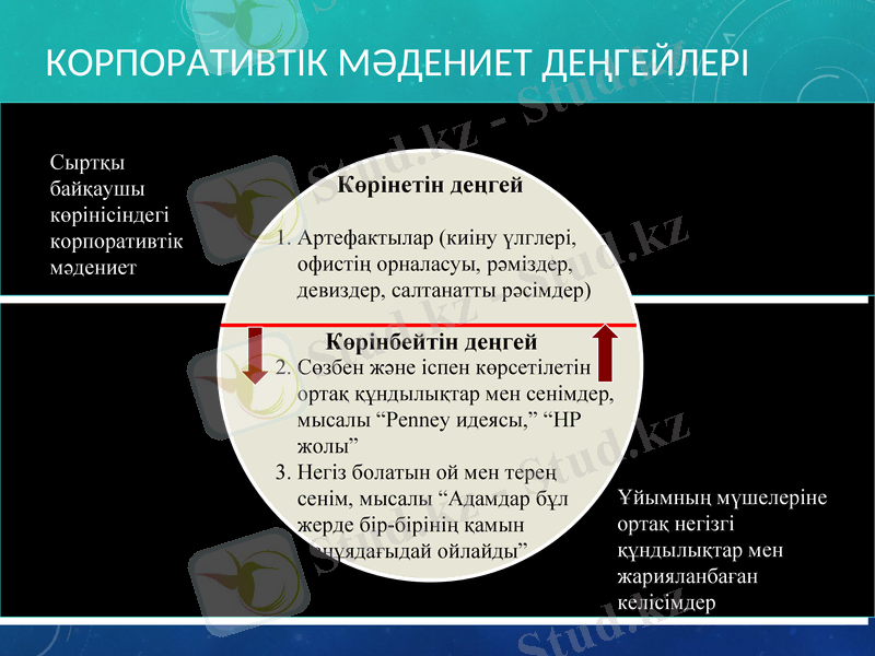Slide 7
