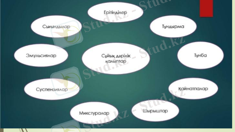 Slide 26