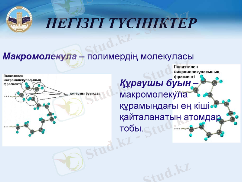 Slide 6