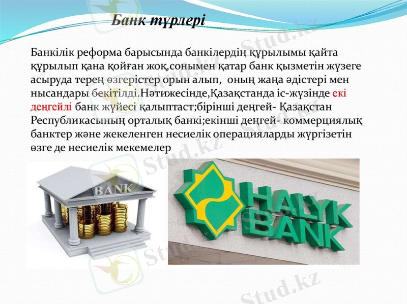 Slide 8