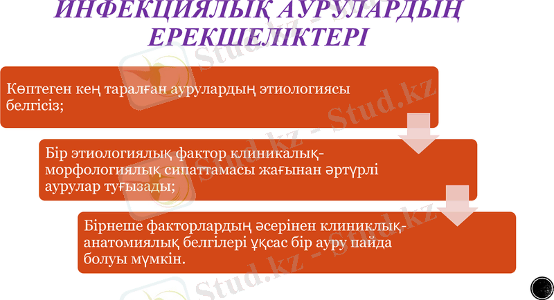 Slide 7