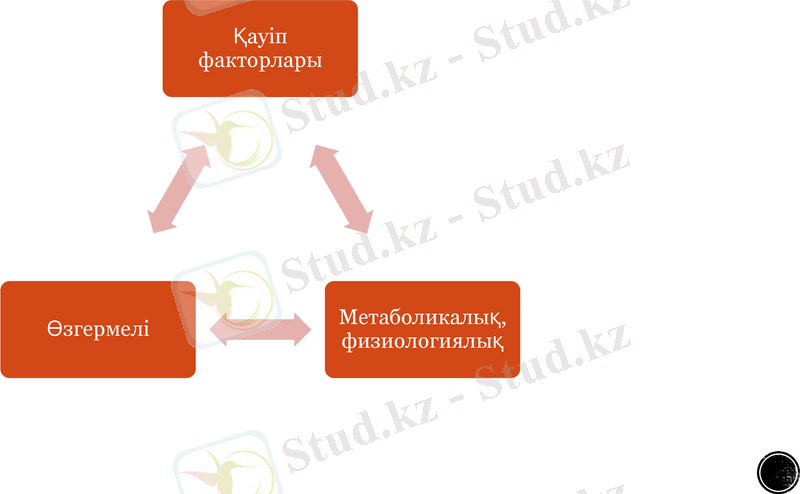 Slide 8
