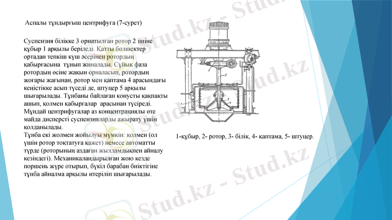Slide 11