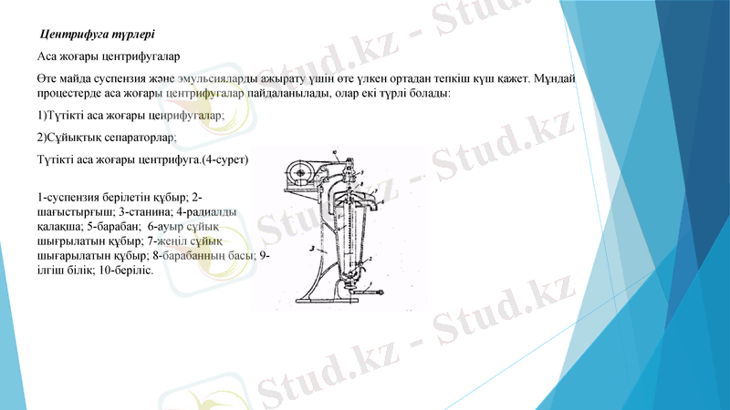 Slide 8