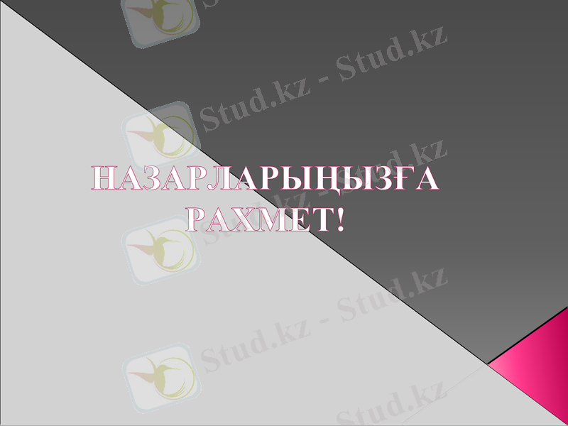 Slide 12