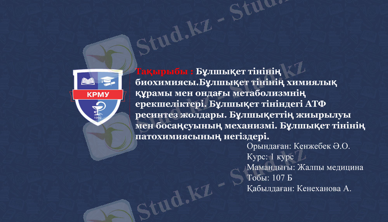 Slide 1