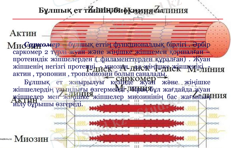 Slide 10