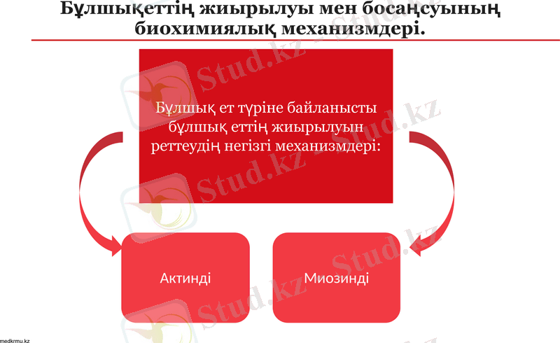 Slide 14