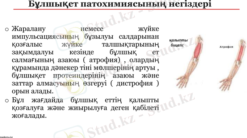 Slide 15