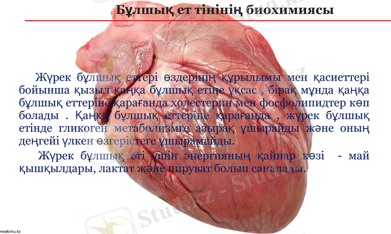 Slide 6