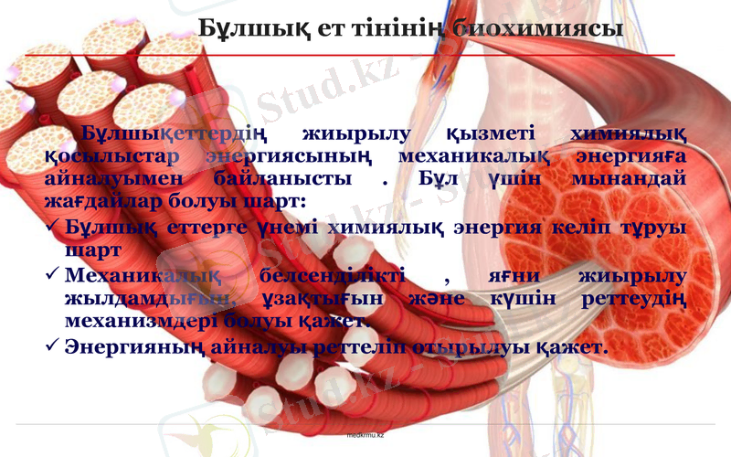 Slide 8