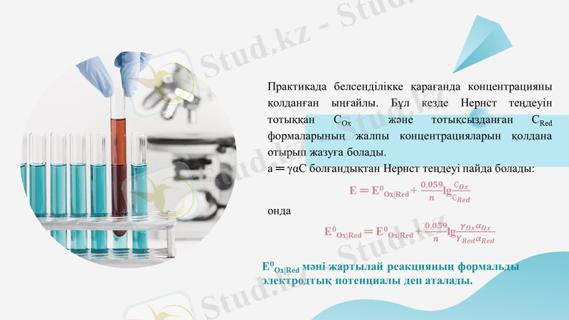Slide 12