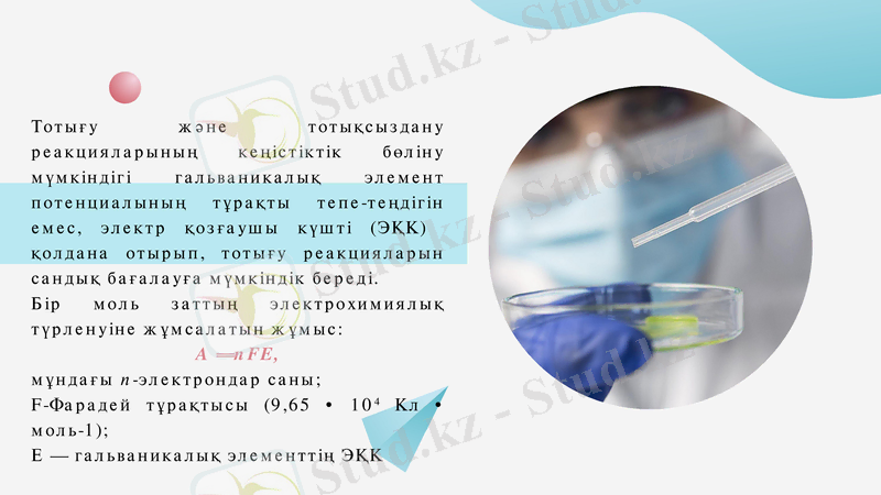 Slide 7