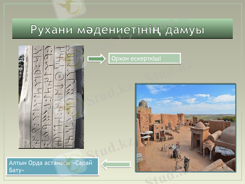 Slide 8