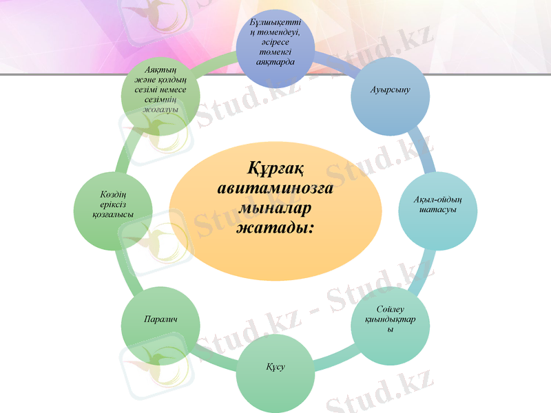 Slide 5