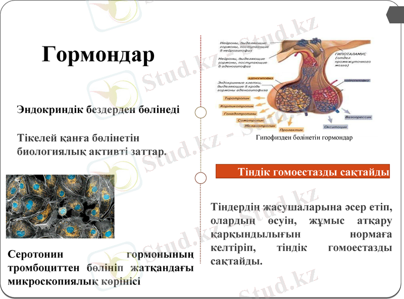 Slide 10