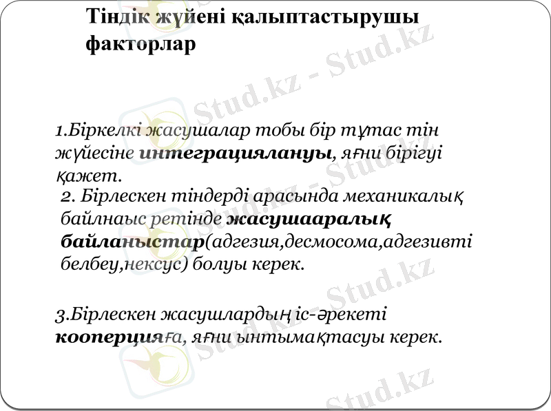 Slide 11