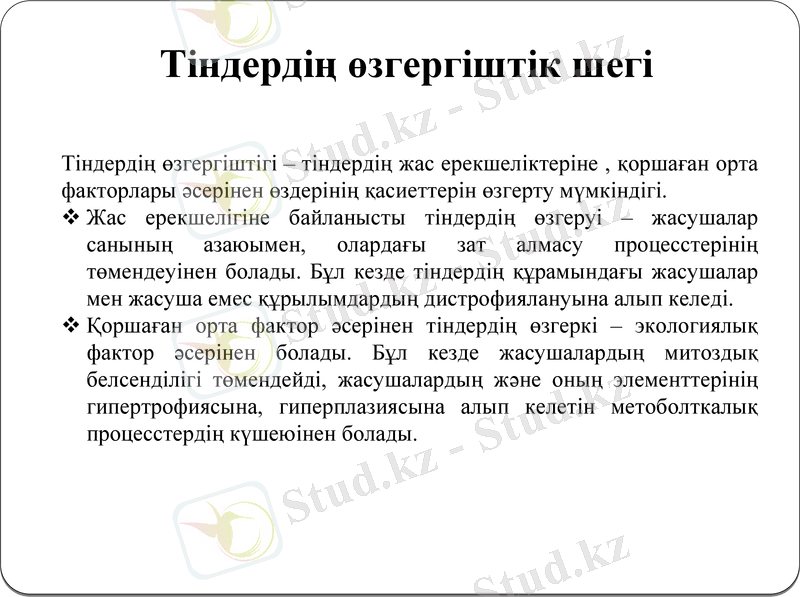 Slide 12