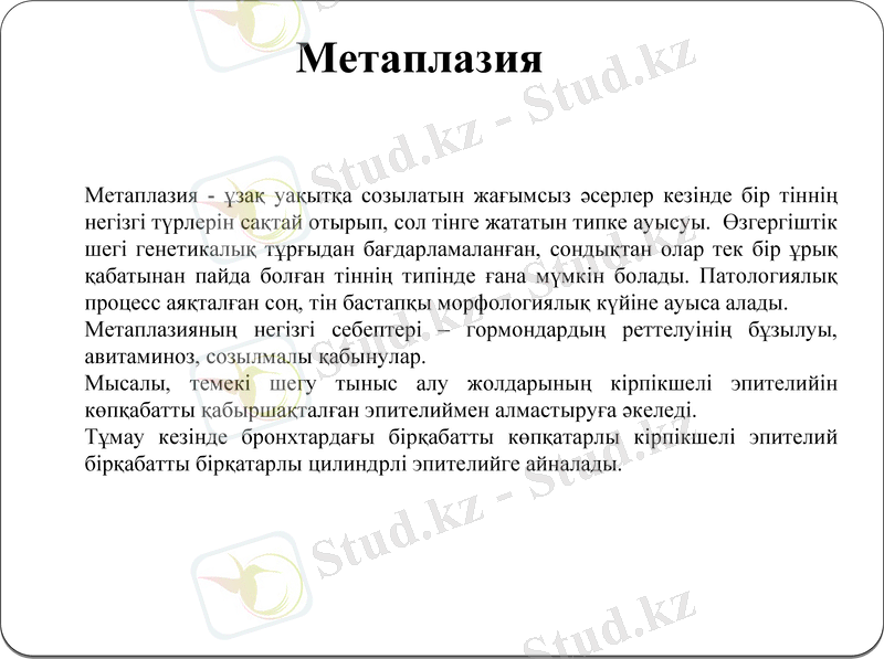 Slide 13