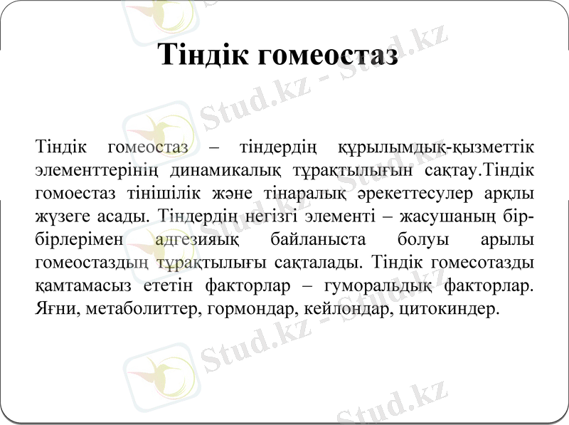 Slide 6