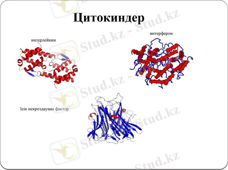 Slide 8