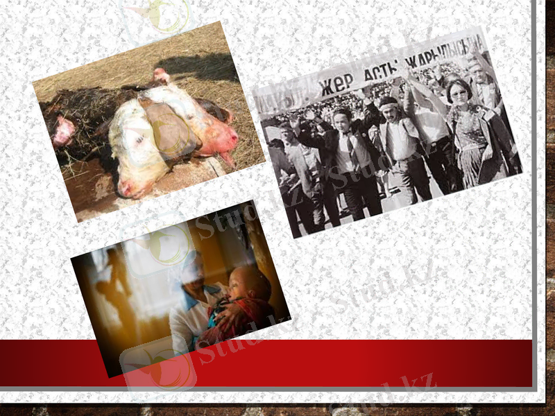Slide 12