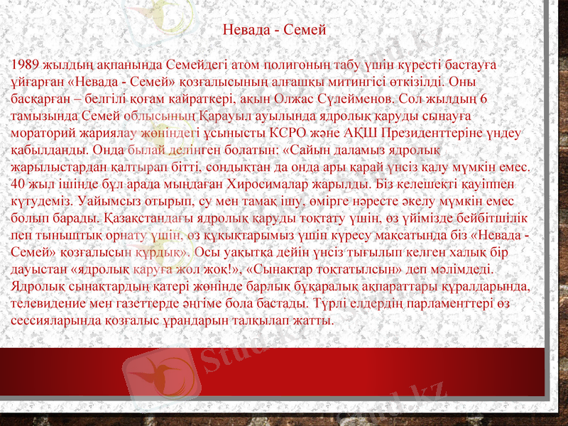 Slide 13