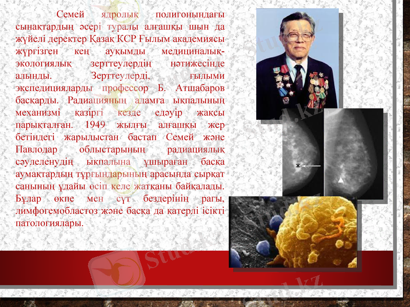 Slide 9