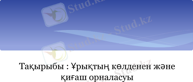Slide 1