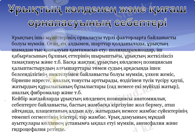 Slide 6