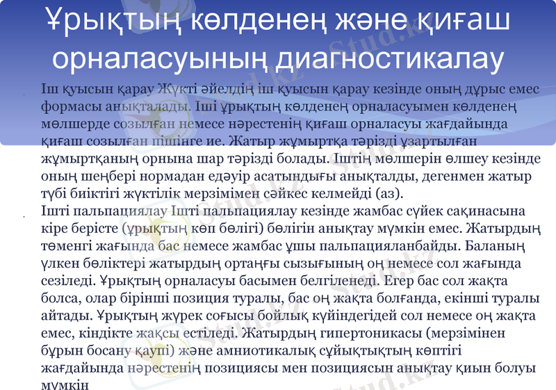 Slide 8