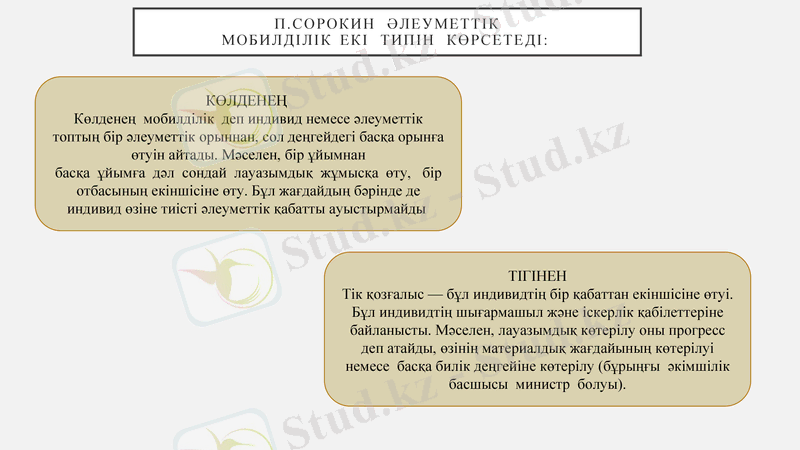 Slide 7