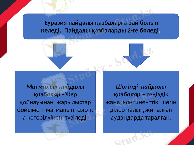 Slide 10
