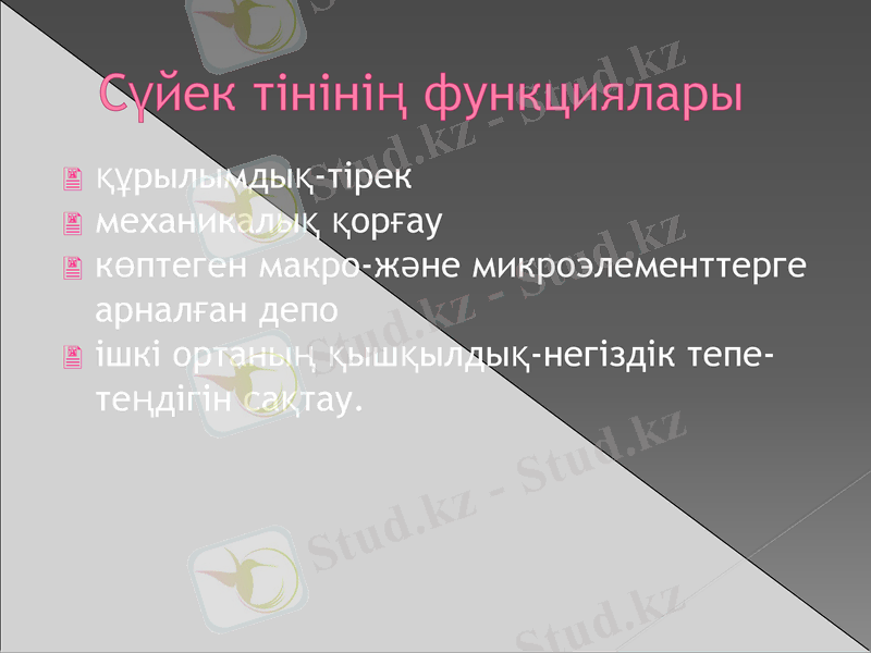 Slide 10