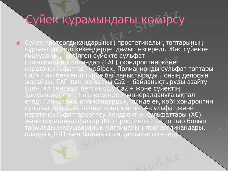 Slide 11