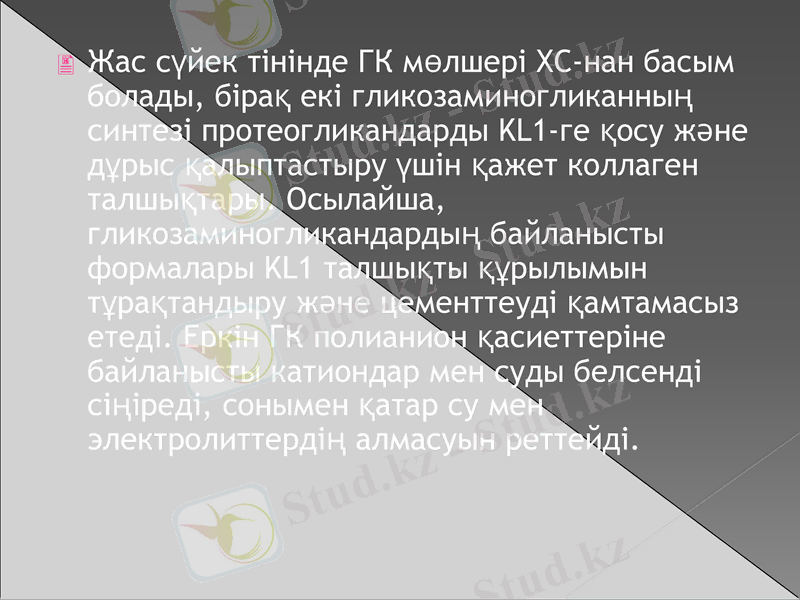 Slide 12