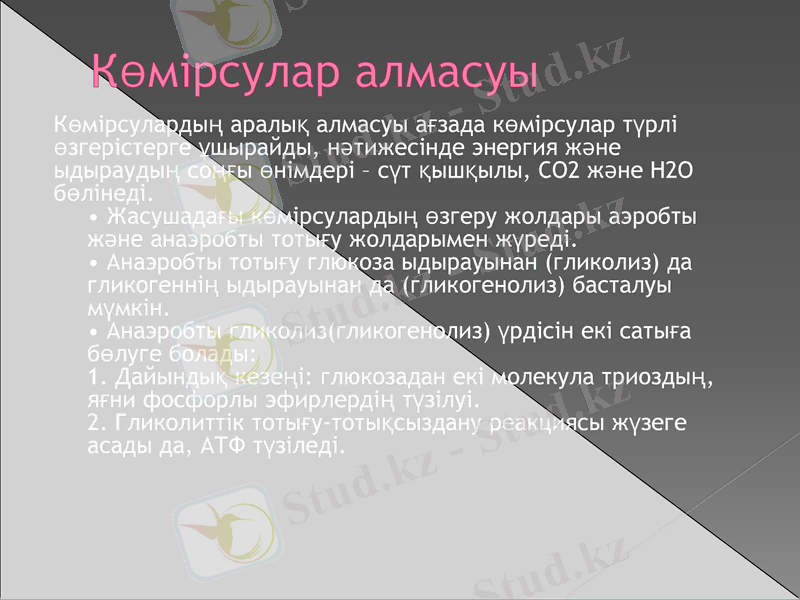 Slide 13