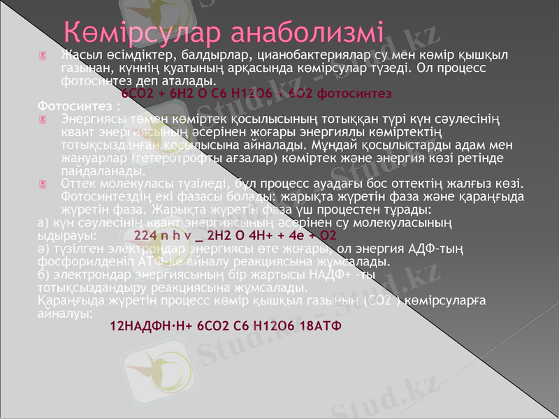 Slide 14