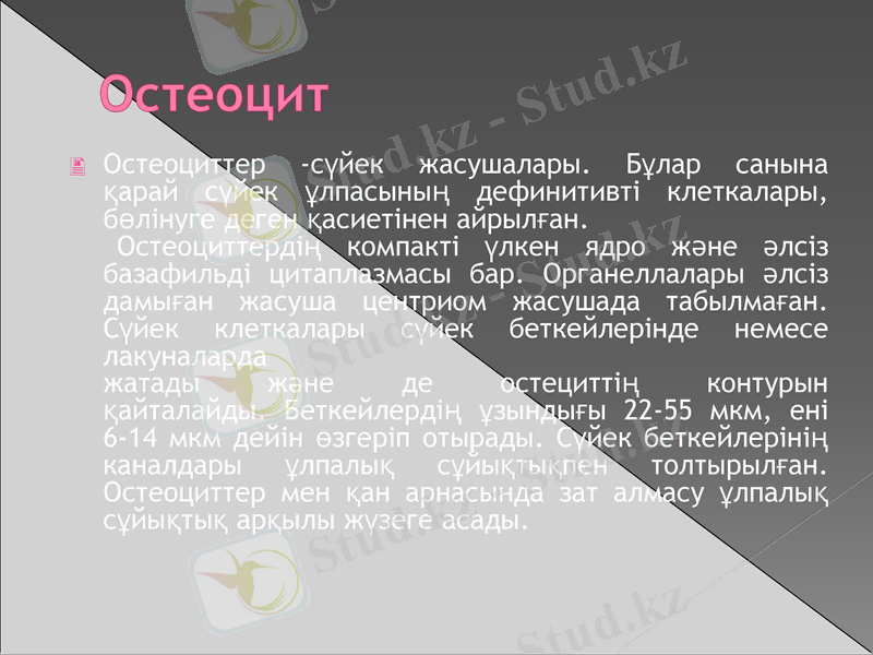 Slide 6