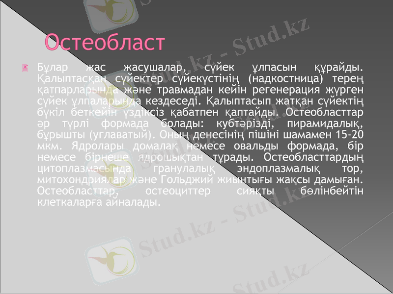 Slide 7