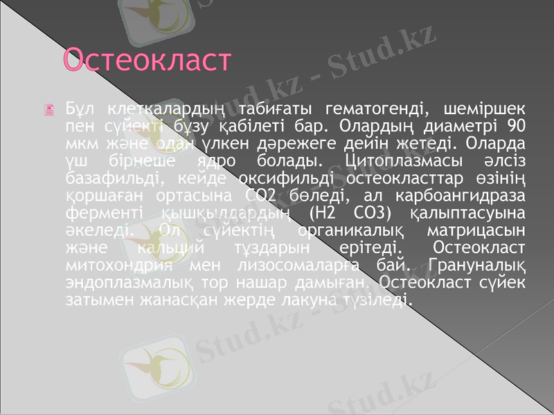 Slide 8