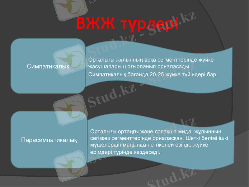 Slide 10