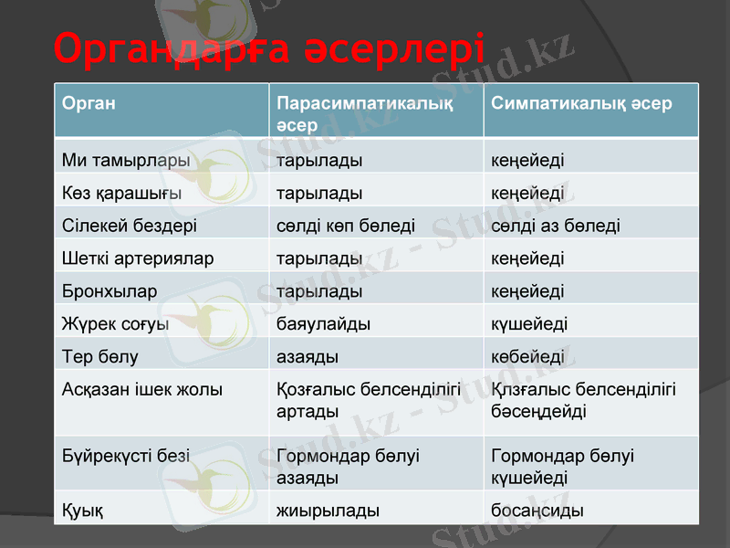 Slide 12